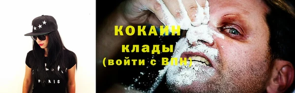 крисы Горняк