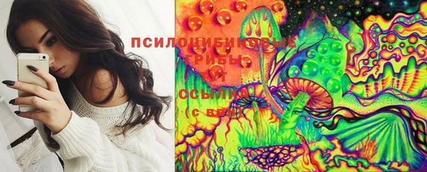 бутират Горно-Алтайск