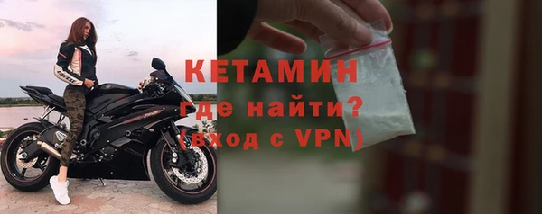 крисы Горняк